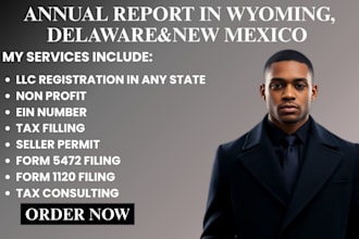 file your USA llc annual report and reinstate in new mexico wyoming delaware