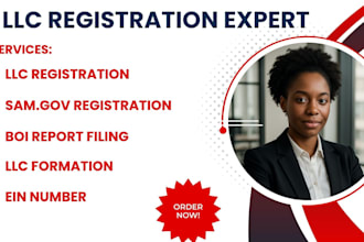 register your USA llc, ein, itin, boi, 501c3, and handle US tax filings