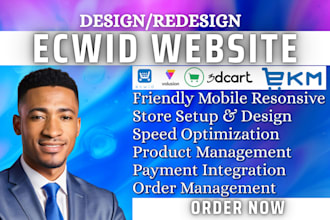 build ecwid volusion ecommerce website redesign ecwid landing page store design