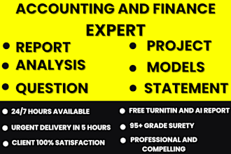 do accounting and finance assignment, financial statement analysis, excel