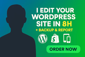 edit and update your wordpress website in 8 hours with full backup
