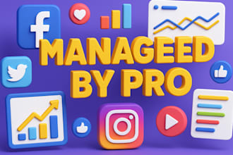 be your social media manager and grow your brand online