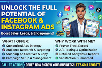 fix and manage facebook ads campaign, instagram ads