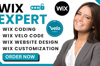 develop wix website with wix velo, wix code and databases