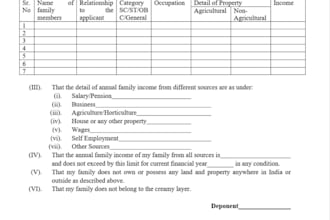 do data entry, word processing