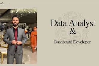 be your data analyst and dashboard developer