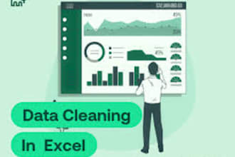 clean and organize your excel or CSV data