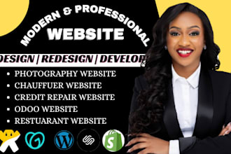 create photography, chauffeur, credit repair, oodo website design and redesign