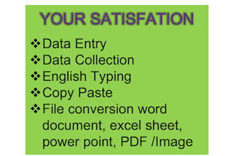 complete data entry, copy paste, file conversion excellent