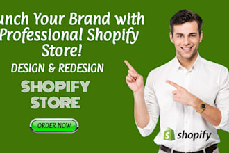 build passive income shopify store or shopify website and dropshipping store