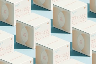 design a modern, clean logo and brand identity that elevates your business