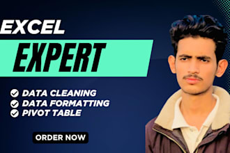 do ms excel or csv data cleaning, formatting and spreadsheets cleanup