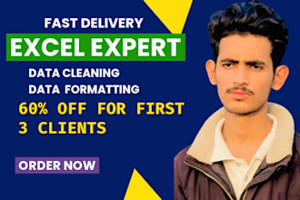 do ms excel or csv data cleaning, formatting and spreadsheets cleanup