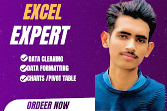 do ms excel or csv data cleaning, formatting and spreadsheets cleanup