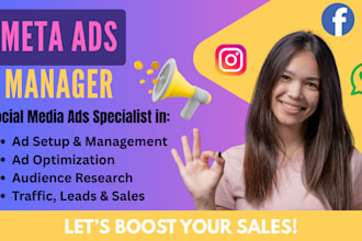 setup and manage facebook ads, instagram ads and whatsapp marketing campaigns