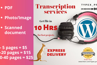 retype PDF, scan, photo and image in 10 hours  express delivery