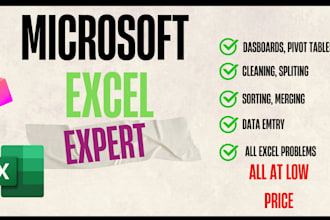 solve all excel problems, make dashboards, pivot tables, fast data entry