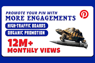 promote your product in my high traffic pinterest account