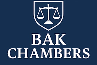 assist litigants in person with contract, litigation or tax matters