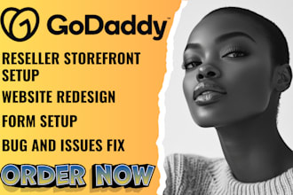 design setup high converting godaddy reseller storefront website for more sales