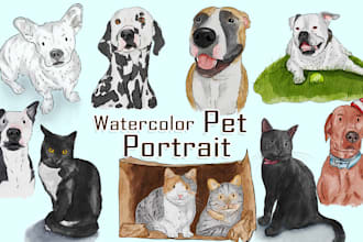 draw a custom watercolor illustration of your pet portrait