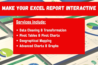 create professional excel charts, pivot table, graphs