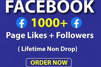 add 5000 permanent likes on your facebook fan page