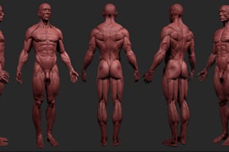 detail human anatomy bust,zbrush sculptor,stl 3d print,vrml character,glb,armor