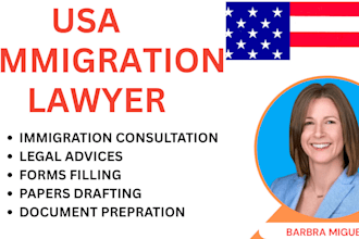 be your online lawyer US immigration matters
