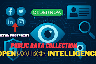 do osint, open source investigation, deep research, and background check