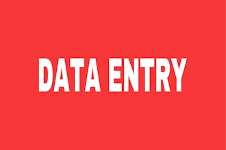 do excel clean up and data entry