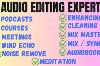 professionally clean, fix, enhance, and restore your audio