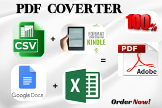 convert PDF to word, excel google docs, kindle books, powerpoint typing services