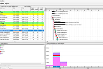 use primavera p6 to develop customised project schedules