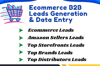 do ecommerce data entry, b2b lead generation, web research