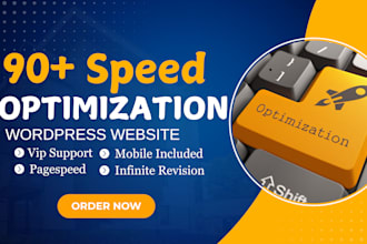 do wordpress speed optimization for google pagespeed insights