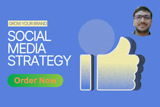 create a custom social media strategy plan to grow your brand