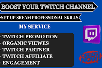 setup organic twitch campaign that will get you organic view