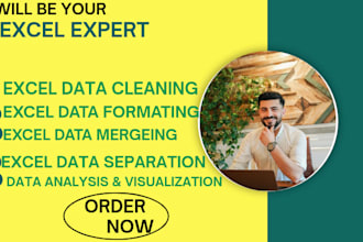 clean, format, merge, split, excel data