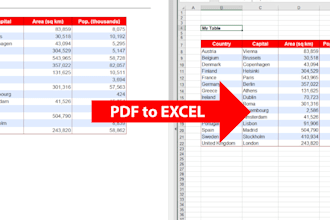 convert any kind of PDF files, scan pages to excel files