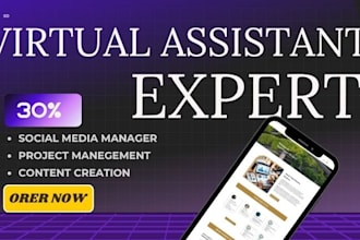 be your administrative assistant personal virtual assistant socail media manager