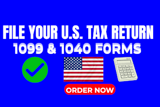 file your US tax return prepare 1099 and 1040 forms accurately