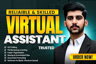 do accurate data entry, web research and excel tasks