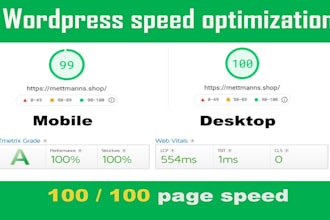 increase website speed up for google pagespeed insights,  gtmetrix