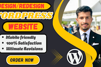 redesign, rebuild, duplicate or copy clone your wordpress website