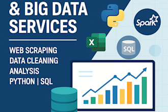 provide big data analytics and data mining services
