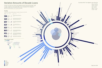 craft user focused information graphics designs