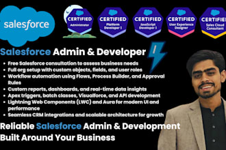be your salesforce admin , developer, and consultant