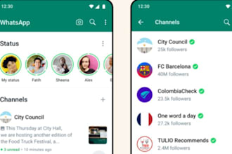 boost whatsapp followers gain 100k member whatsapp channel whatsapp bulk message