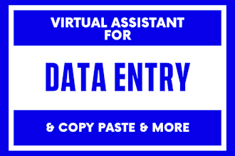 do data entry, PDF to word, copy paste